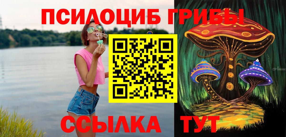 Псилоцибиновые грибы ЛСД Петрозаводск