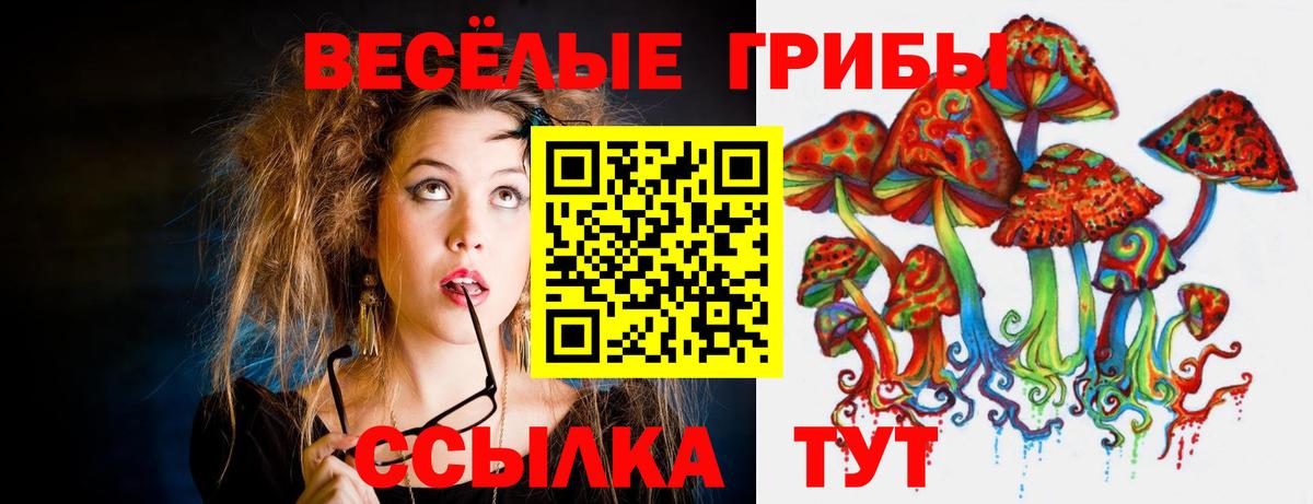 Петрозаводск  Галлюциногенные грибы Psilocybine cubensis  Вход с VPN 